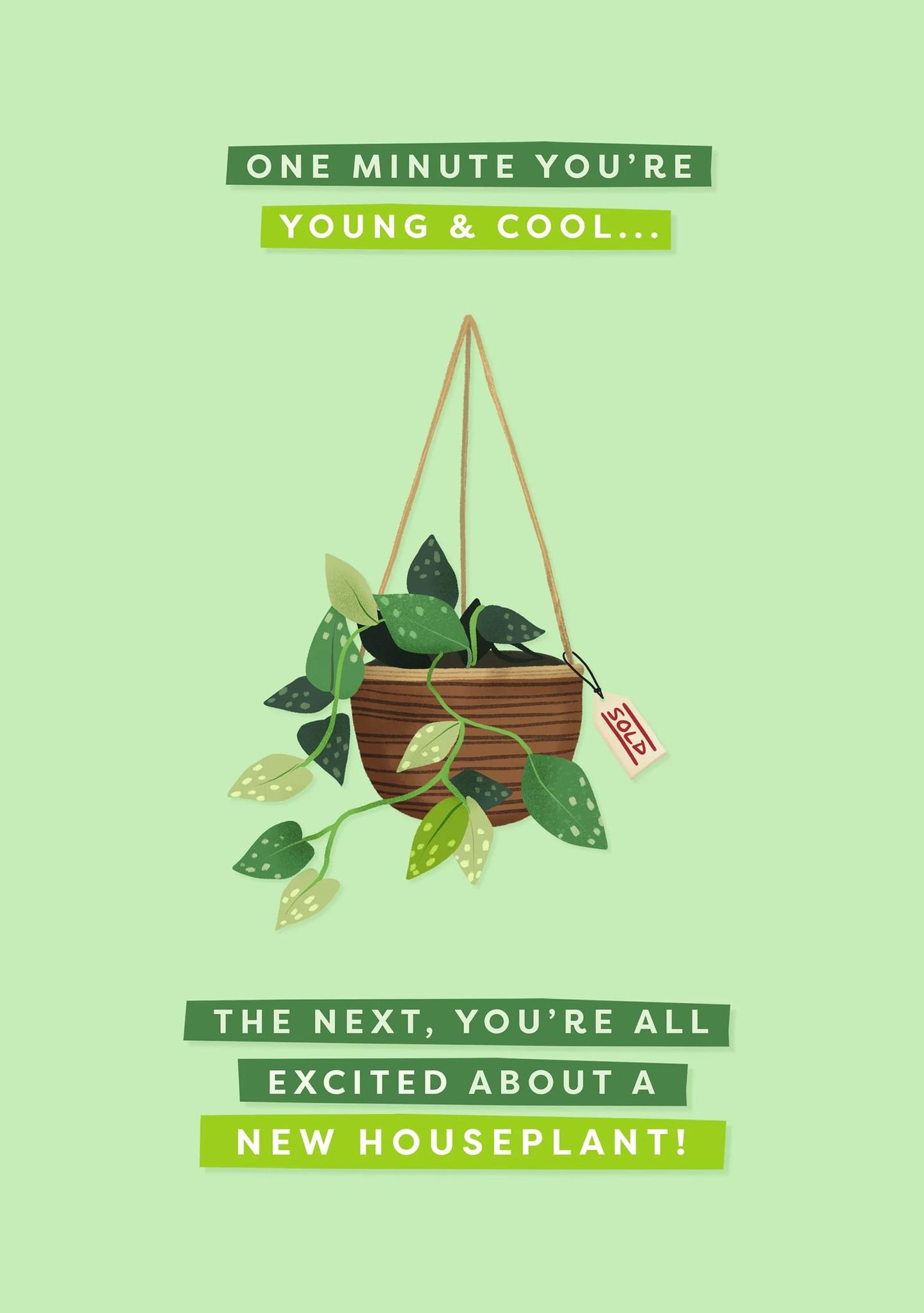 One Minute You're Young and Cool