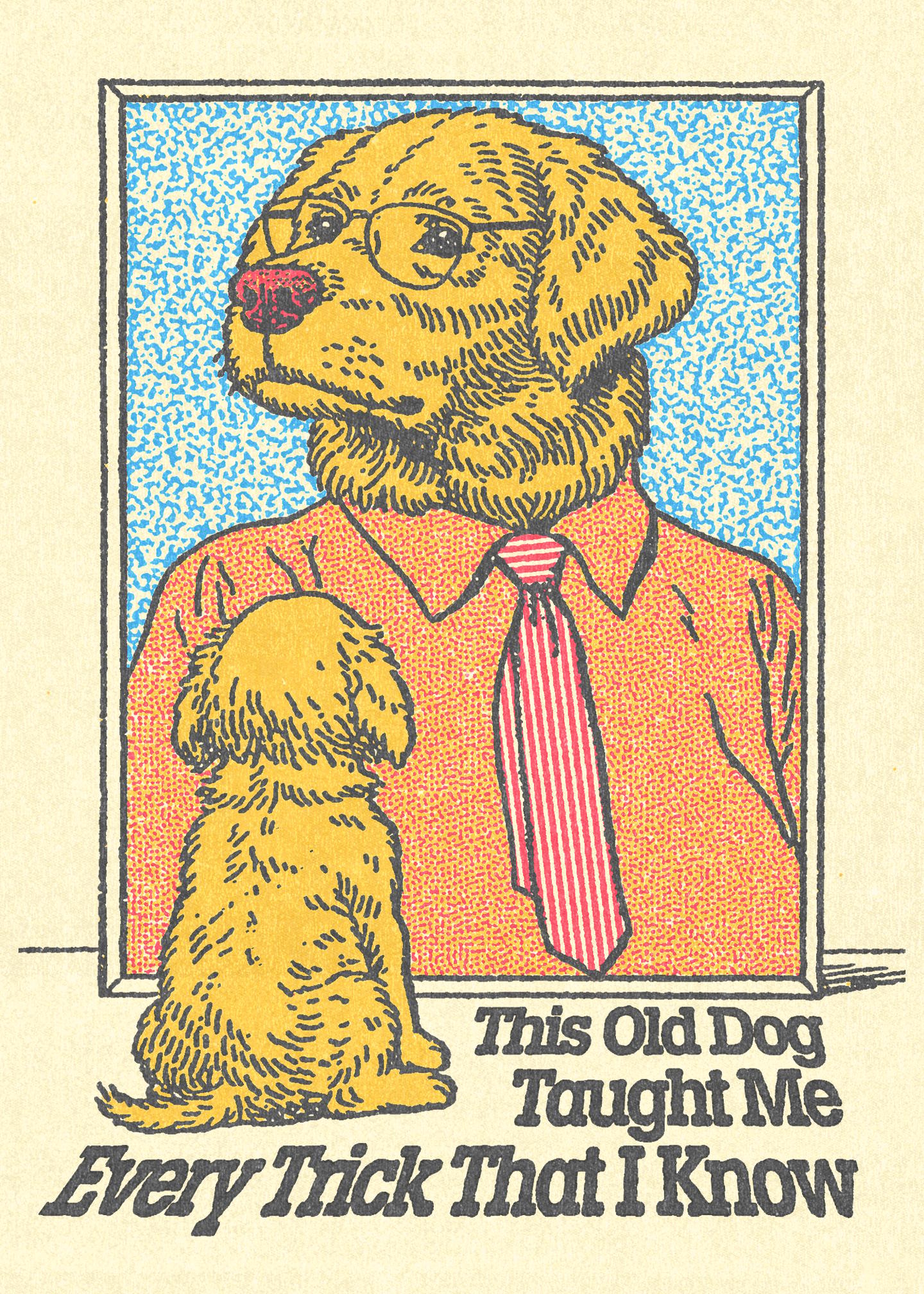 This Old Dog