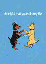 Paws to Heart: Thankful Moments