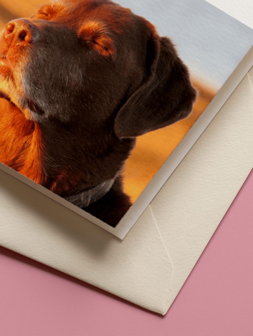 Realizing I Like You Dog Card mockup 3