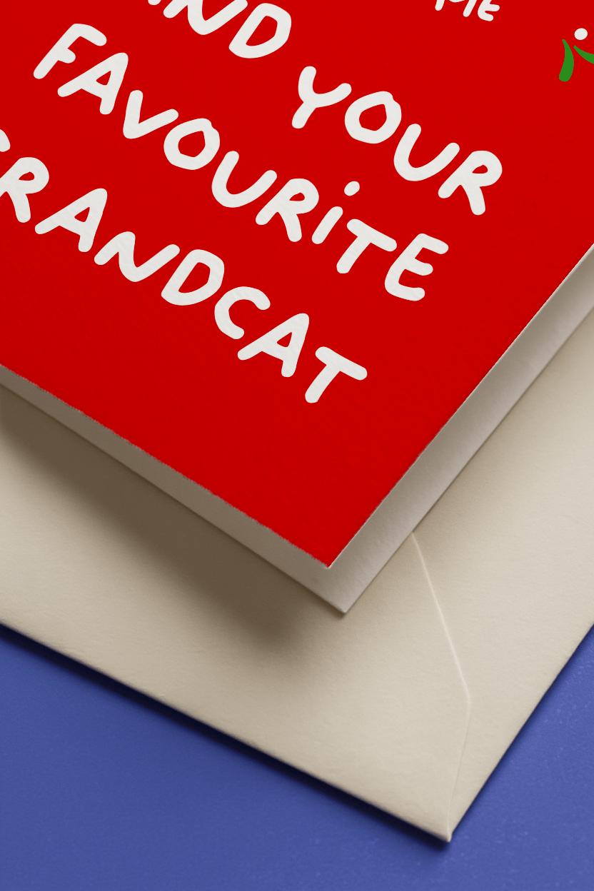 Favourite Grandcat Christmas mockup 3