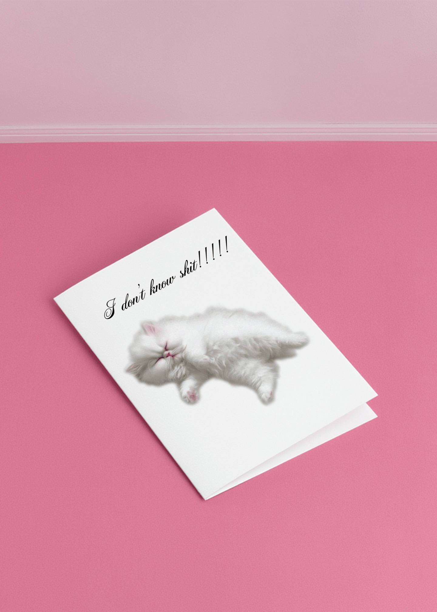 I don't know shit mockup 1