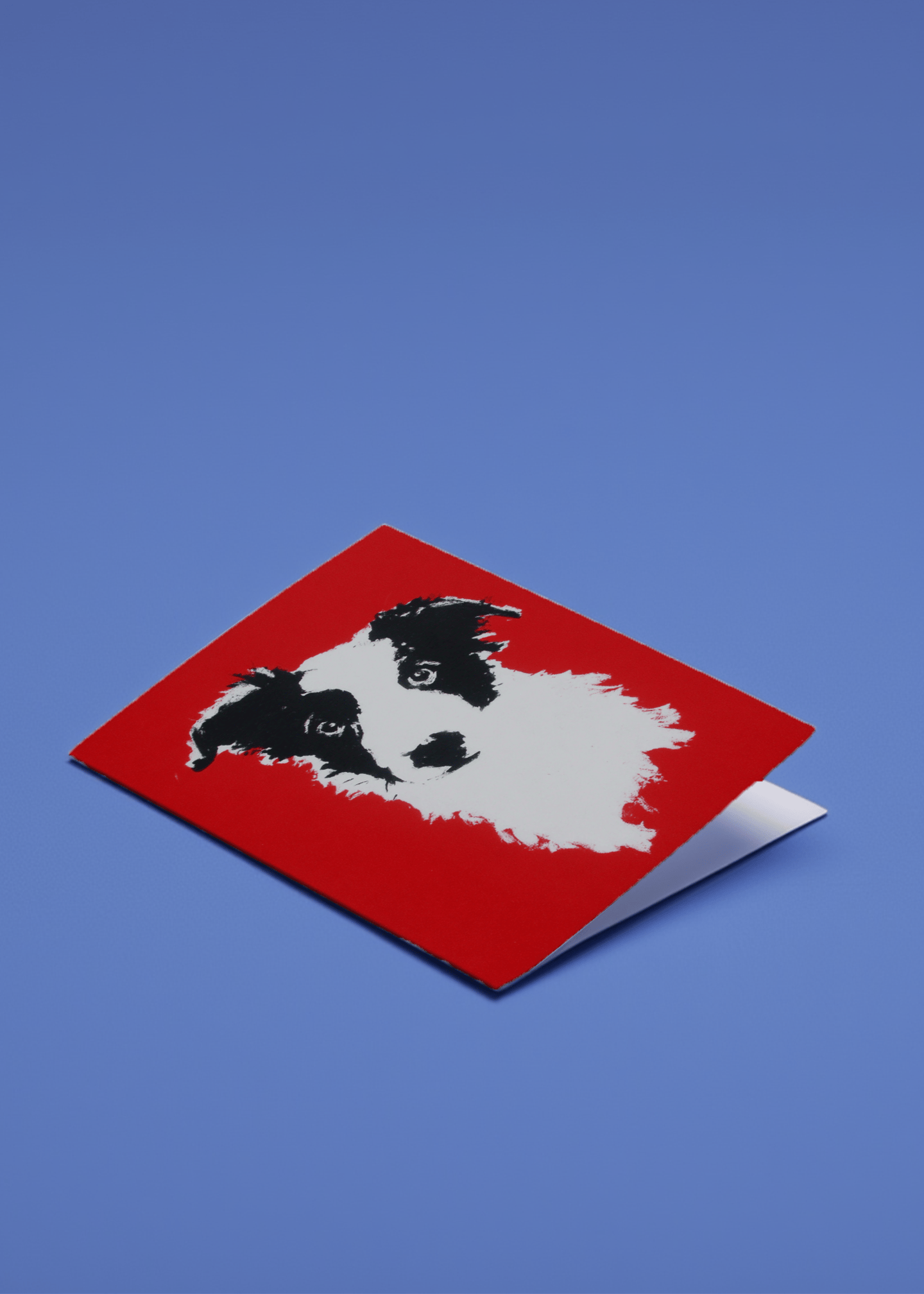 border collie illustration mockup 1