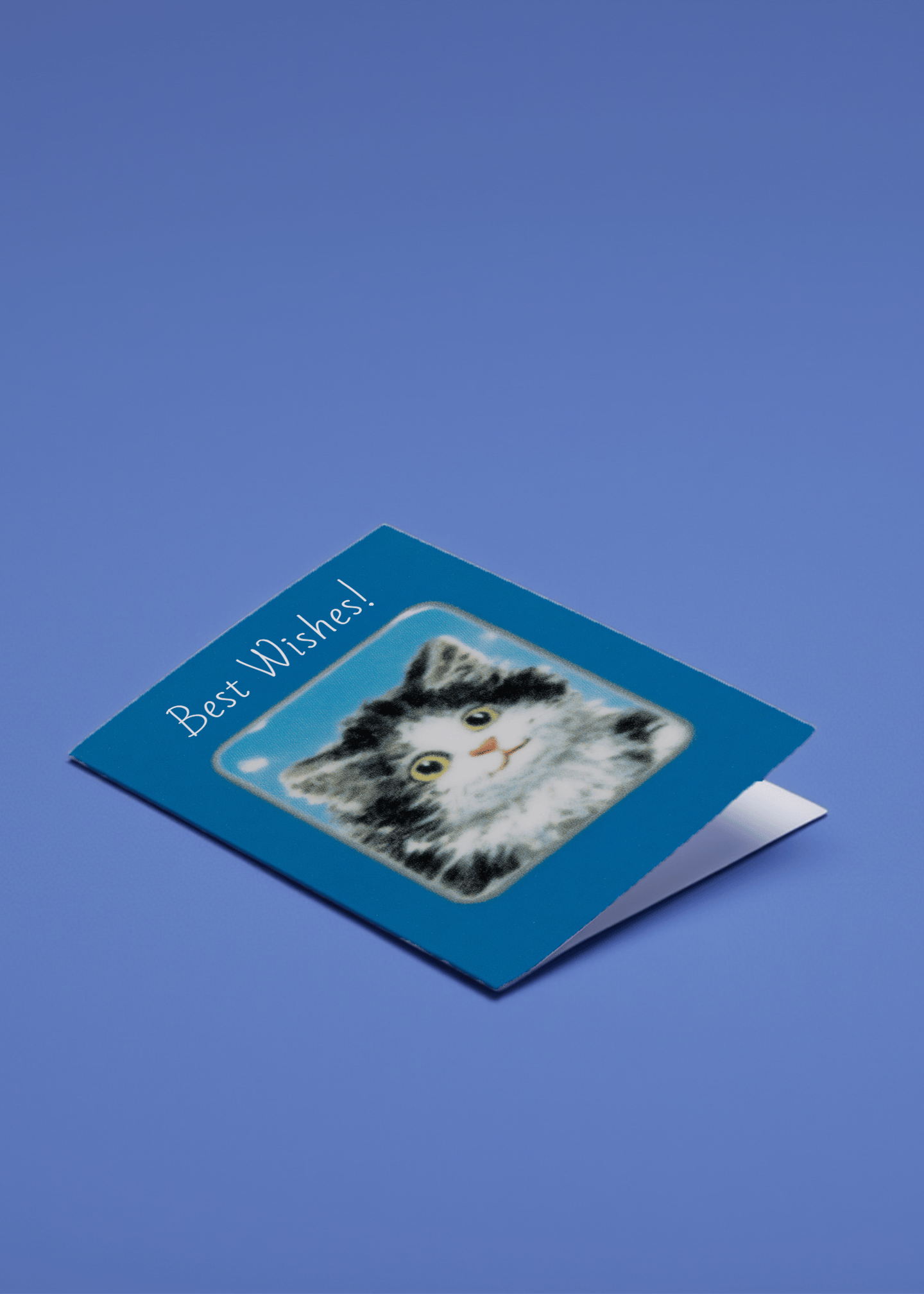 Best Wishes Cat Card mockup 1