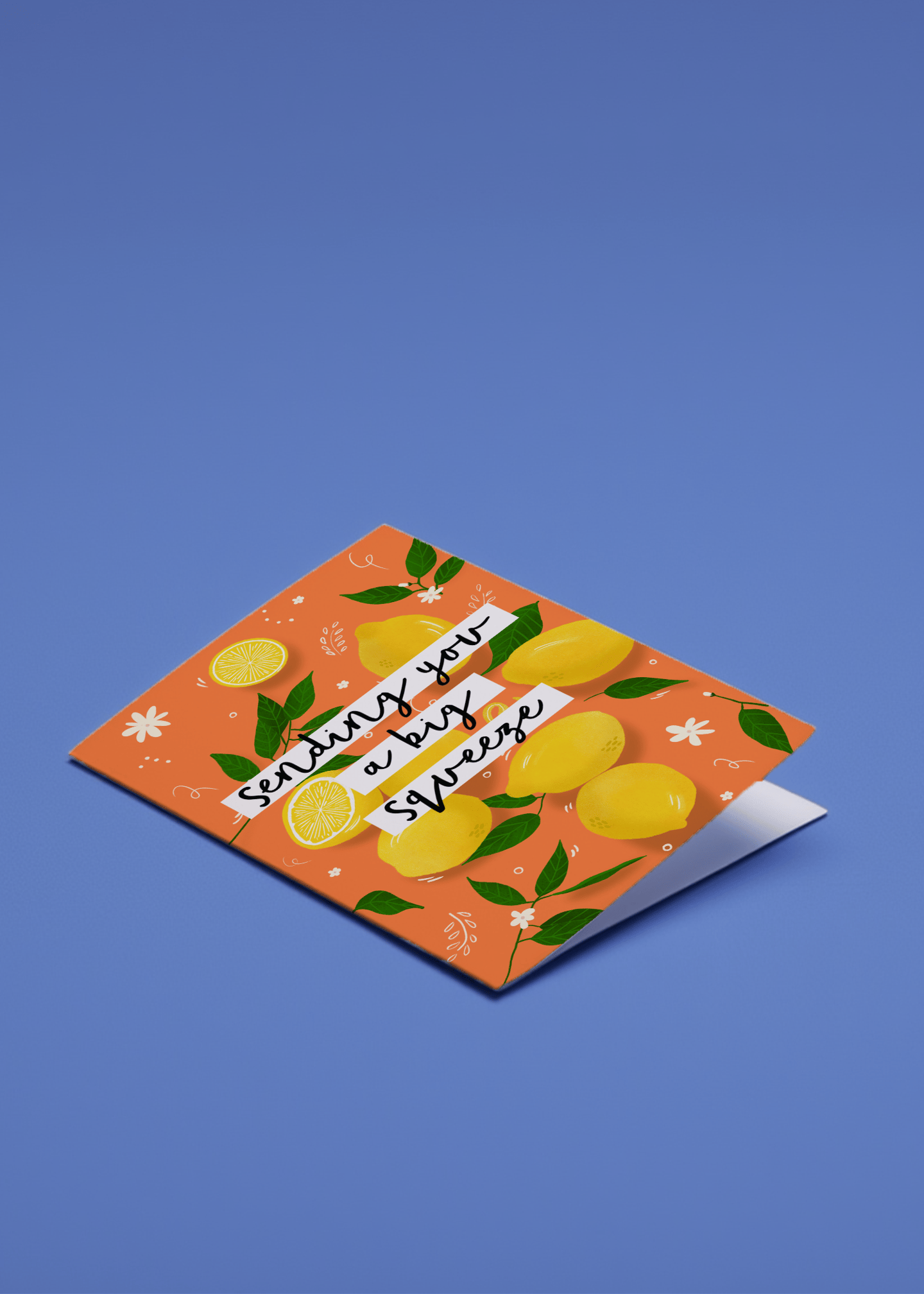 Sending You a Big Squeeze mockup 1