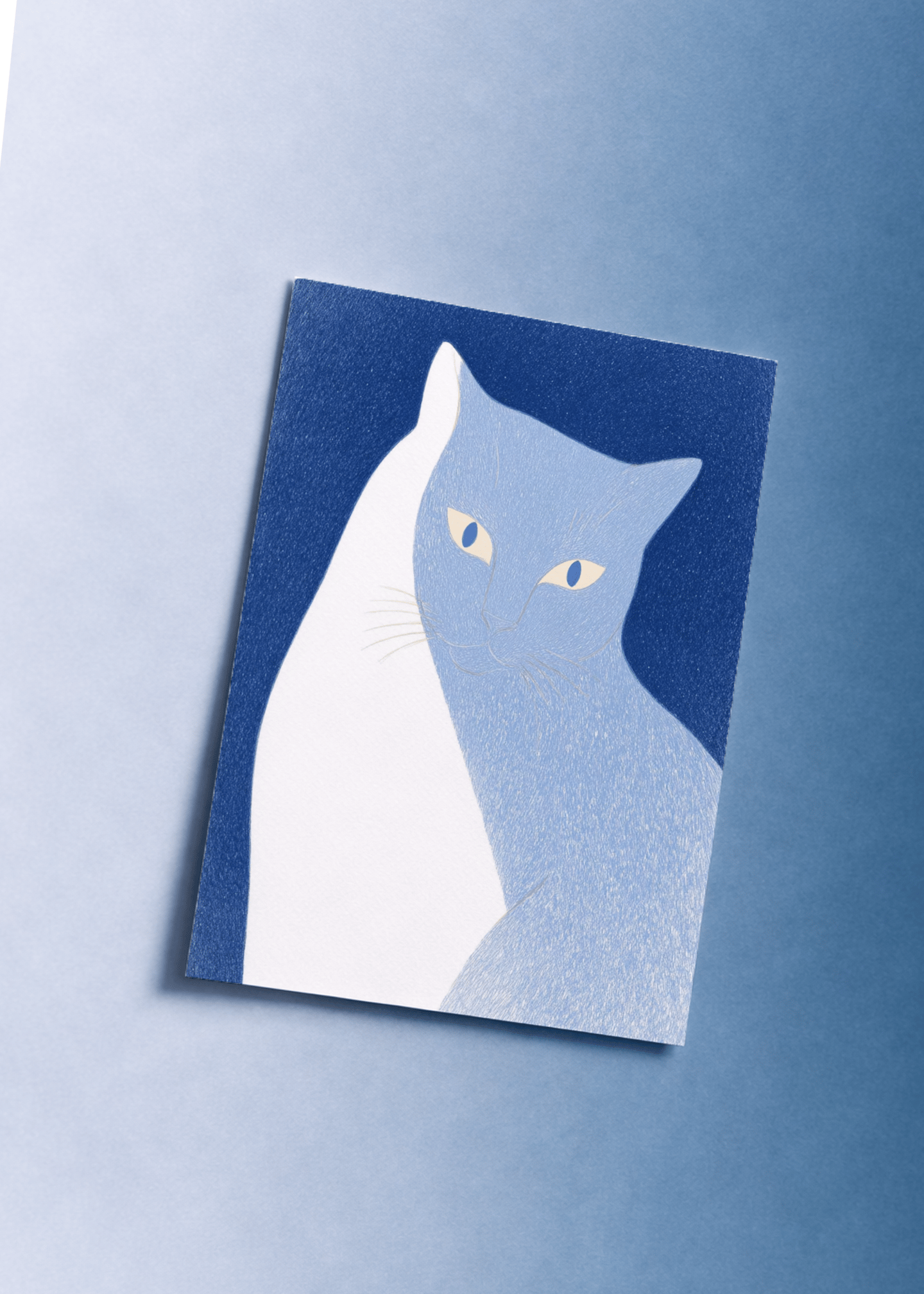 white cat shadow mockup 1