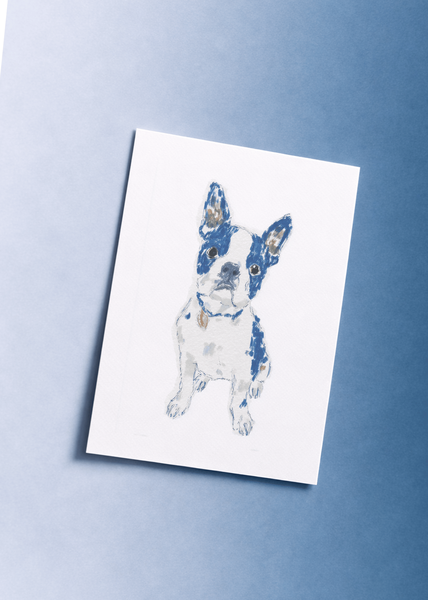 boston terrier sitting mockup 1