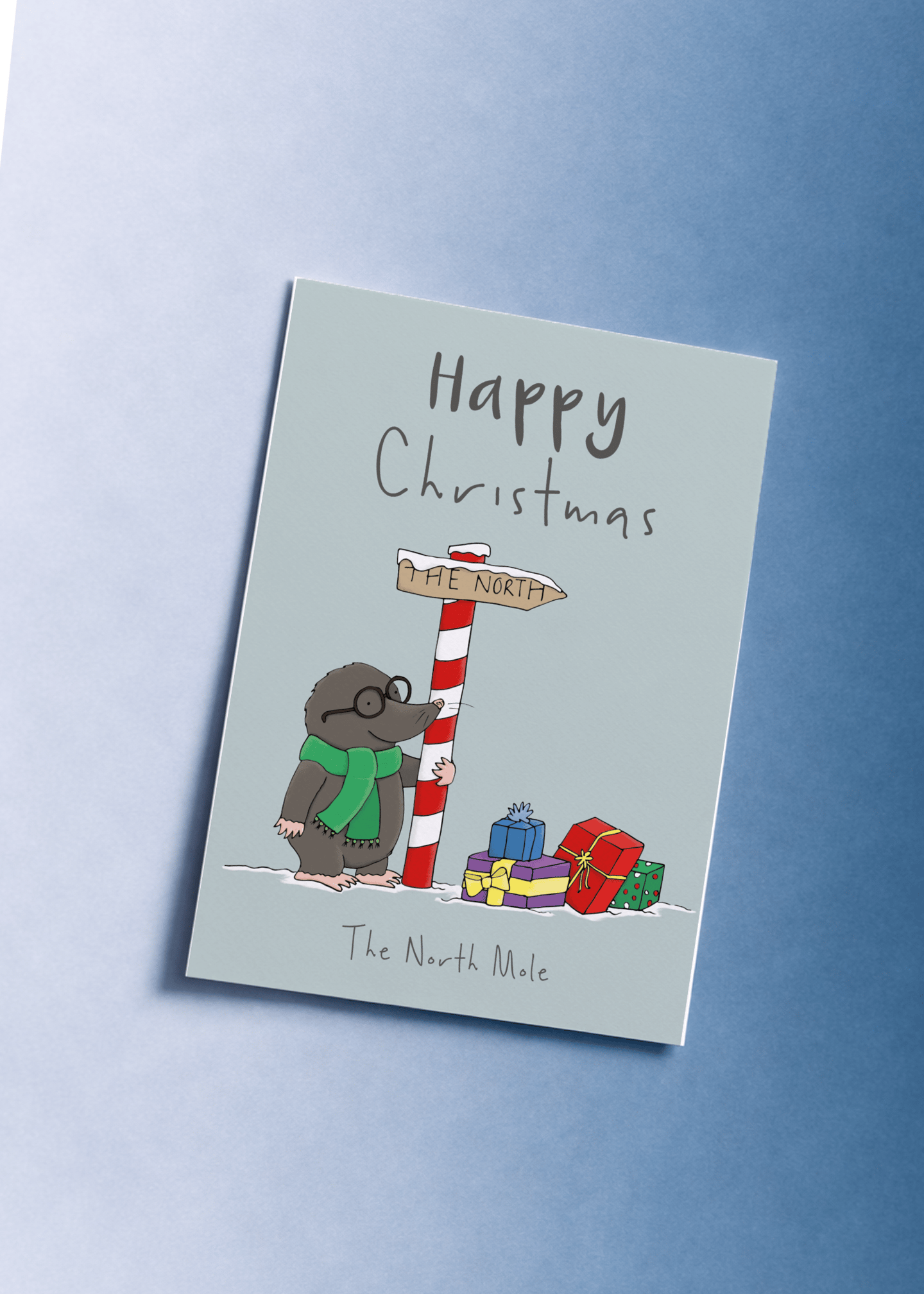 The North Mole's Christmas Adventure mockup 1