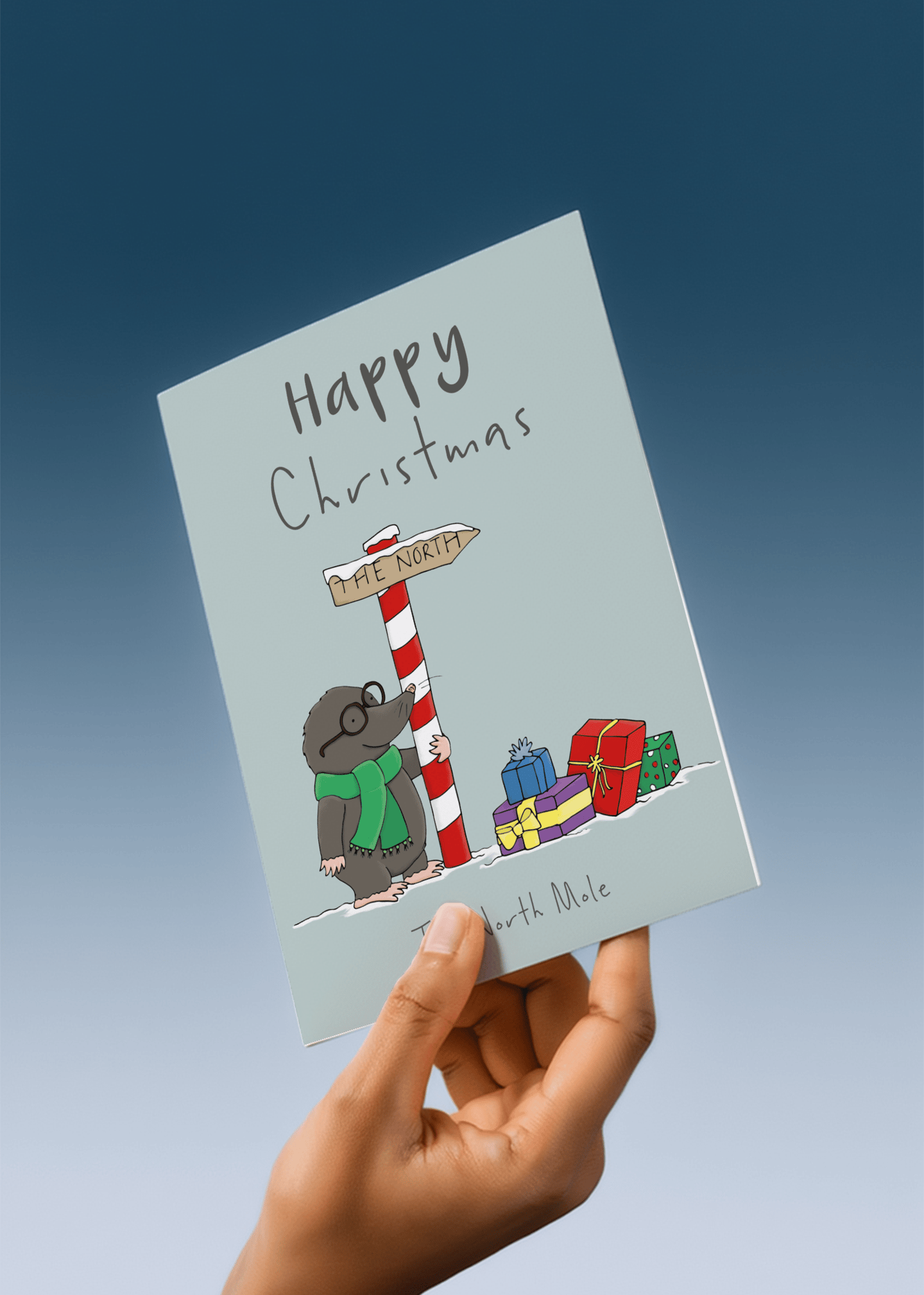 The North Mole's Christmas Adventure mockup 4