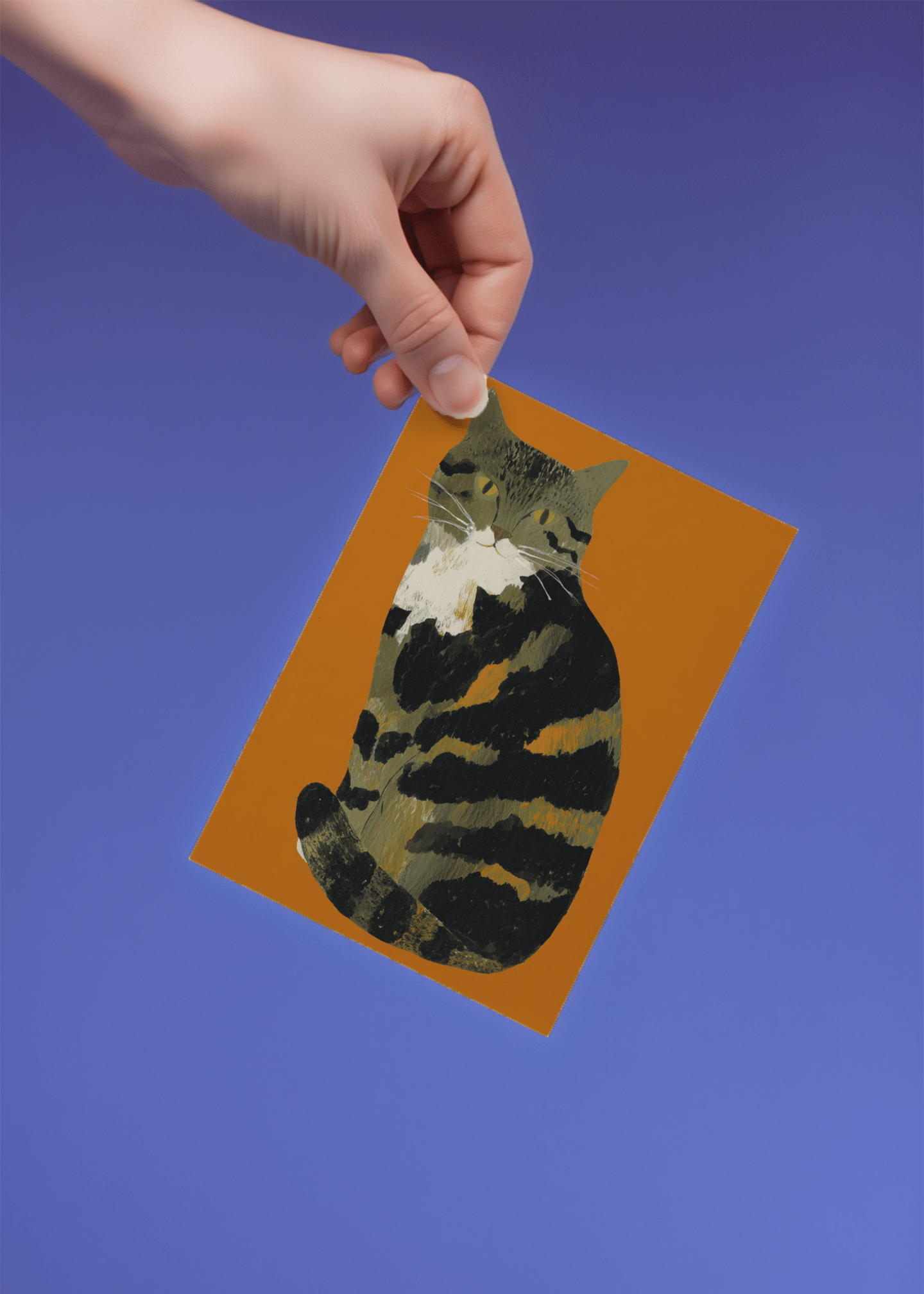 tabby cat sitting politely mockup 4