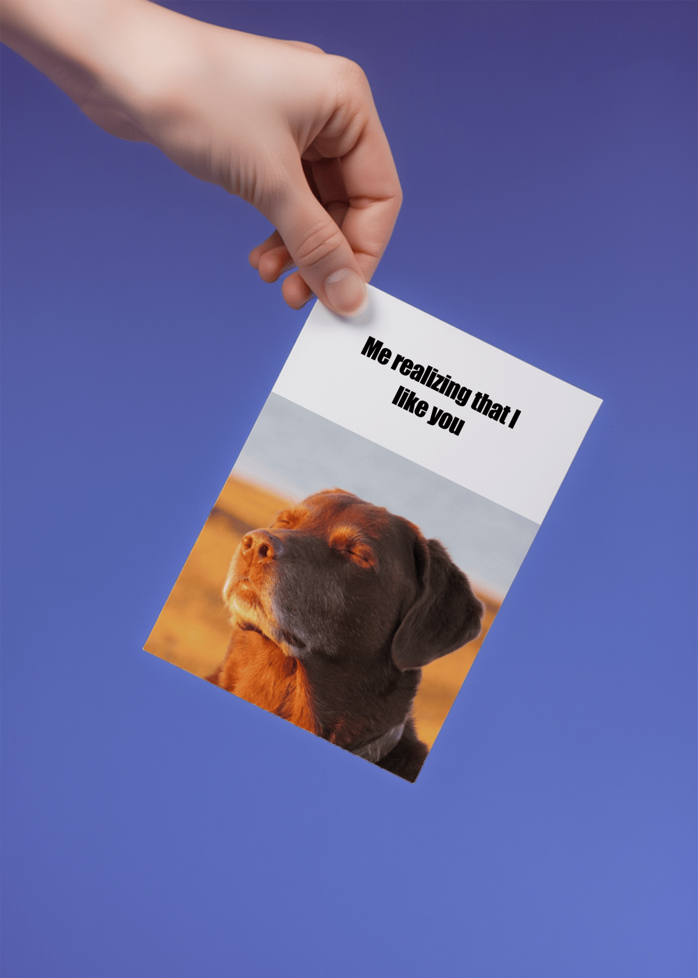 Realizing I Like You Dog Card mockup 4