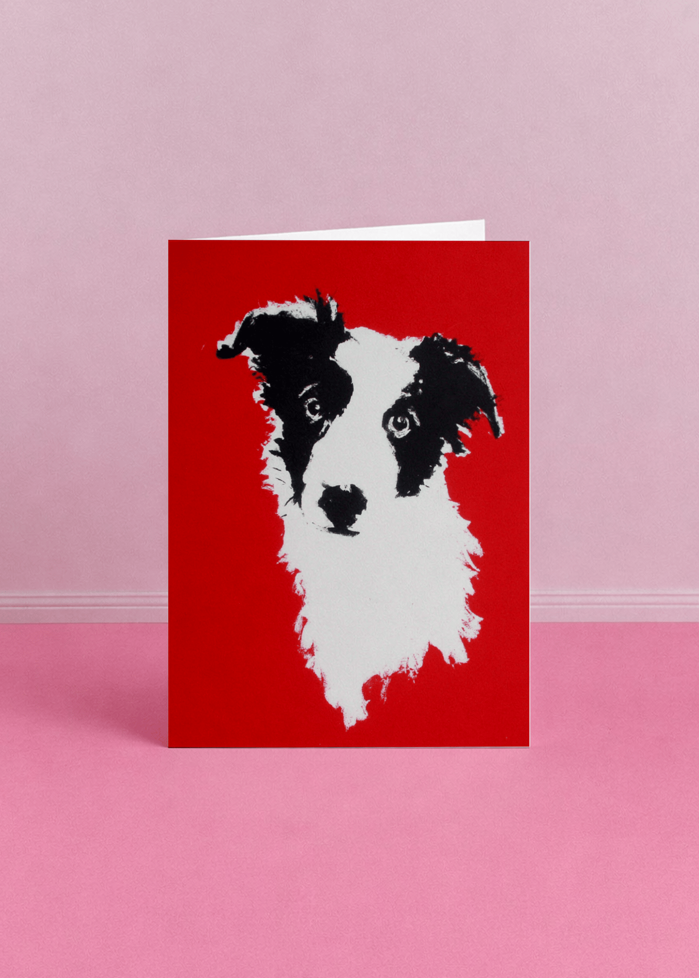 border collie illustration mockup 5