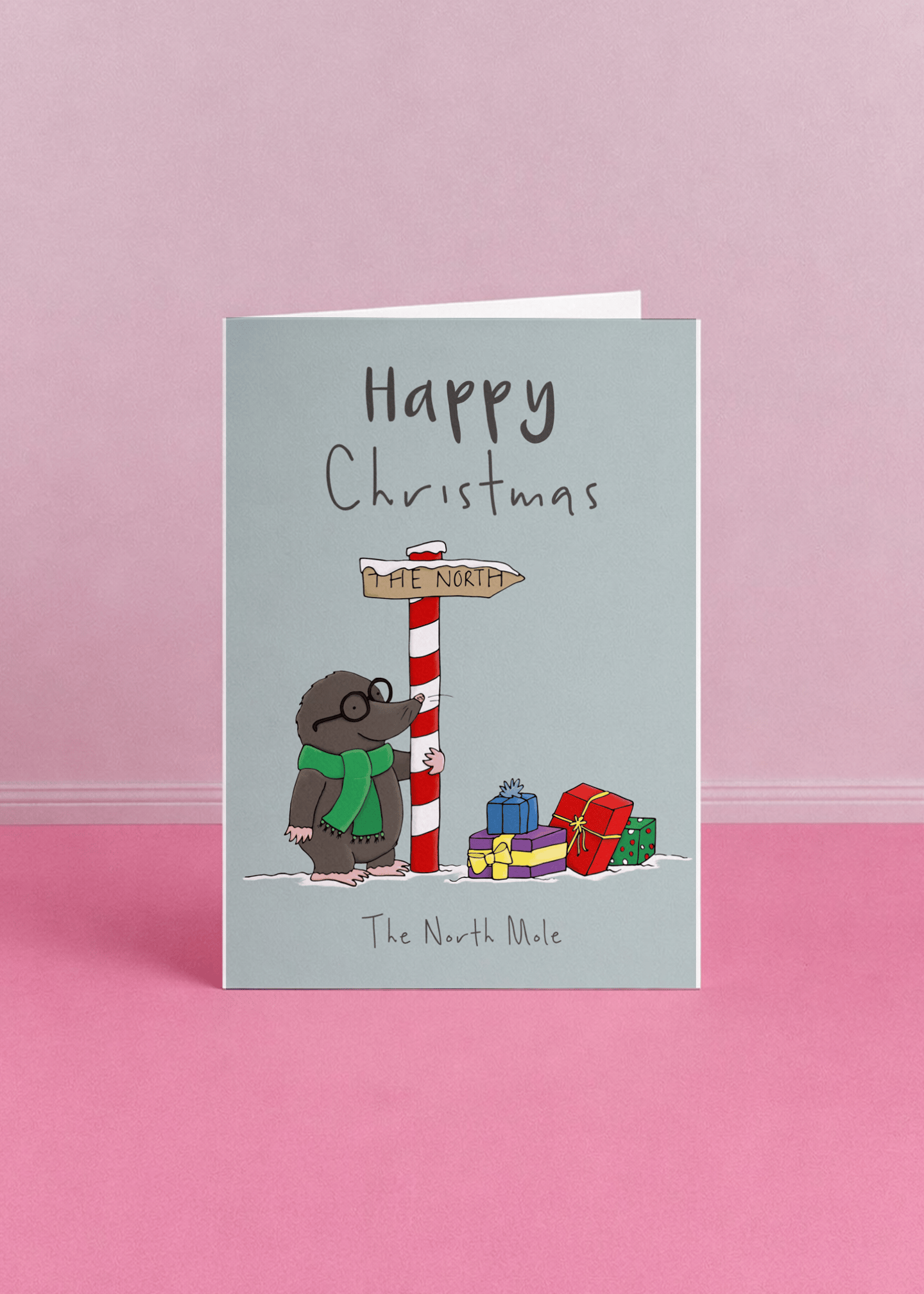 The North Mole's Christmas Adventure mockup 5