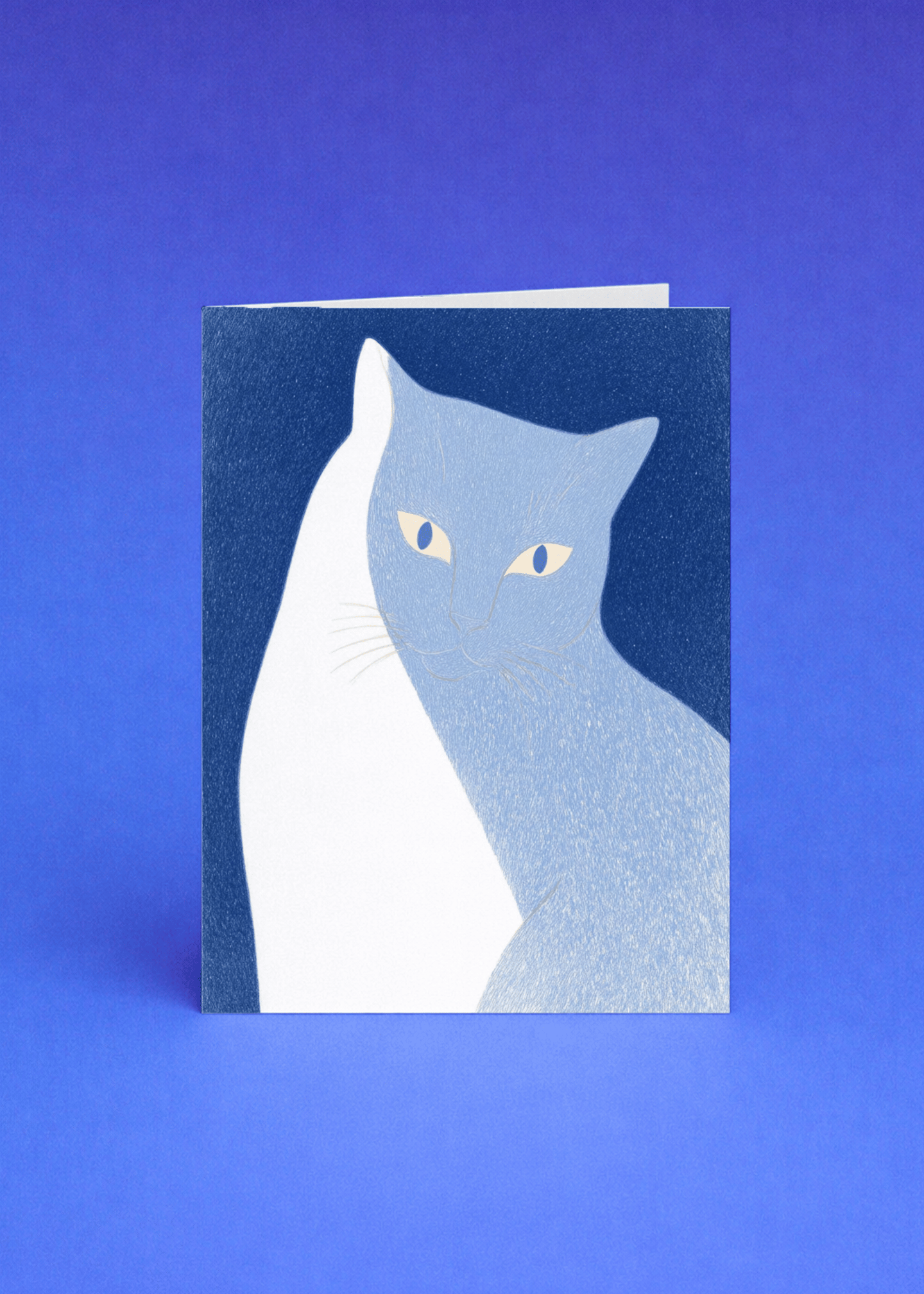 white cat shadow mockup 5