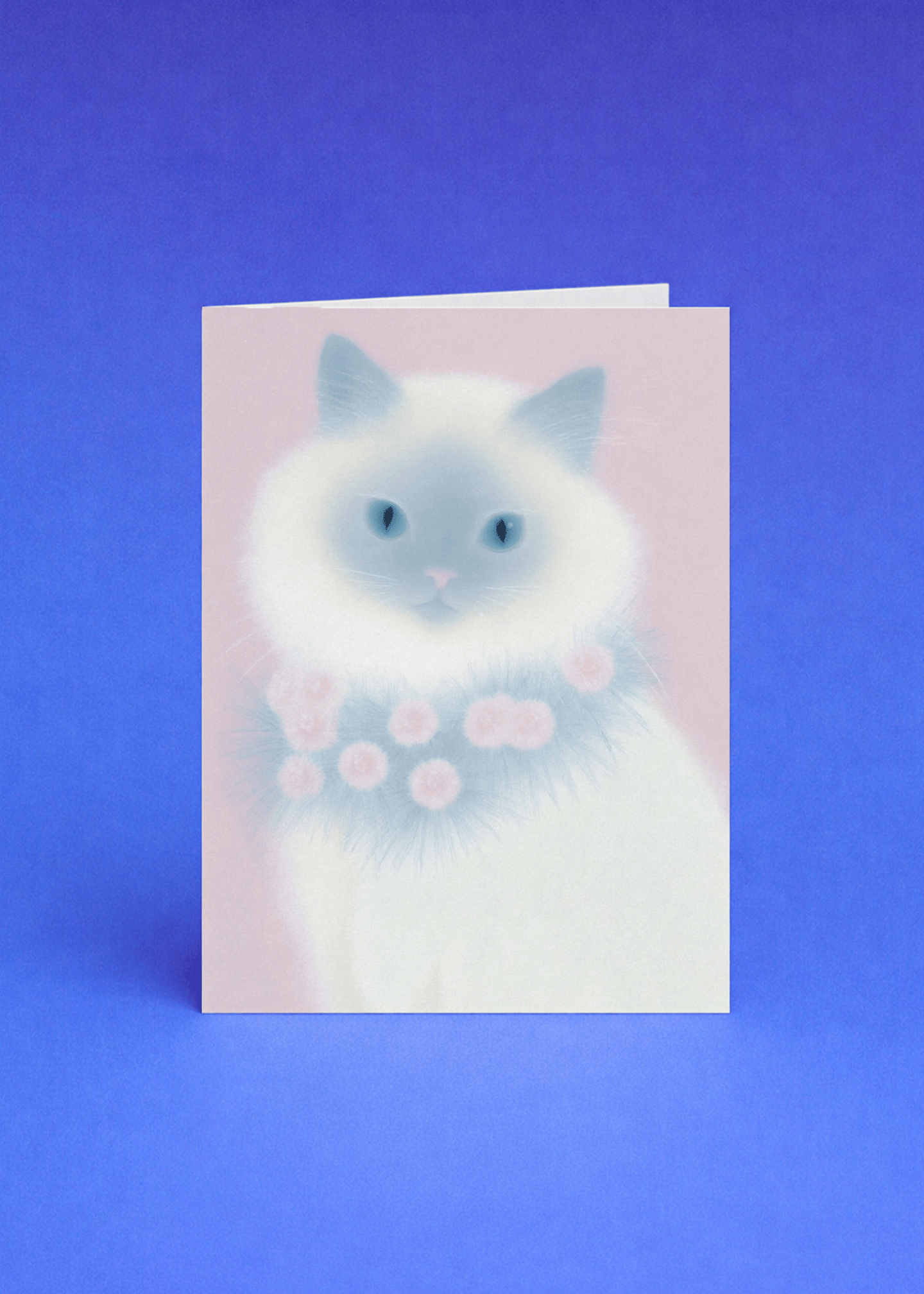 ragdoll cat with cool scarf mockup 5