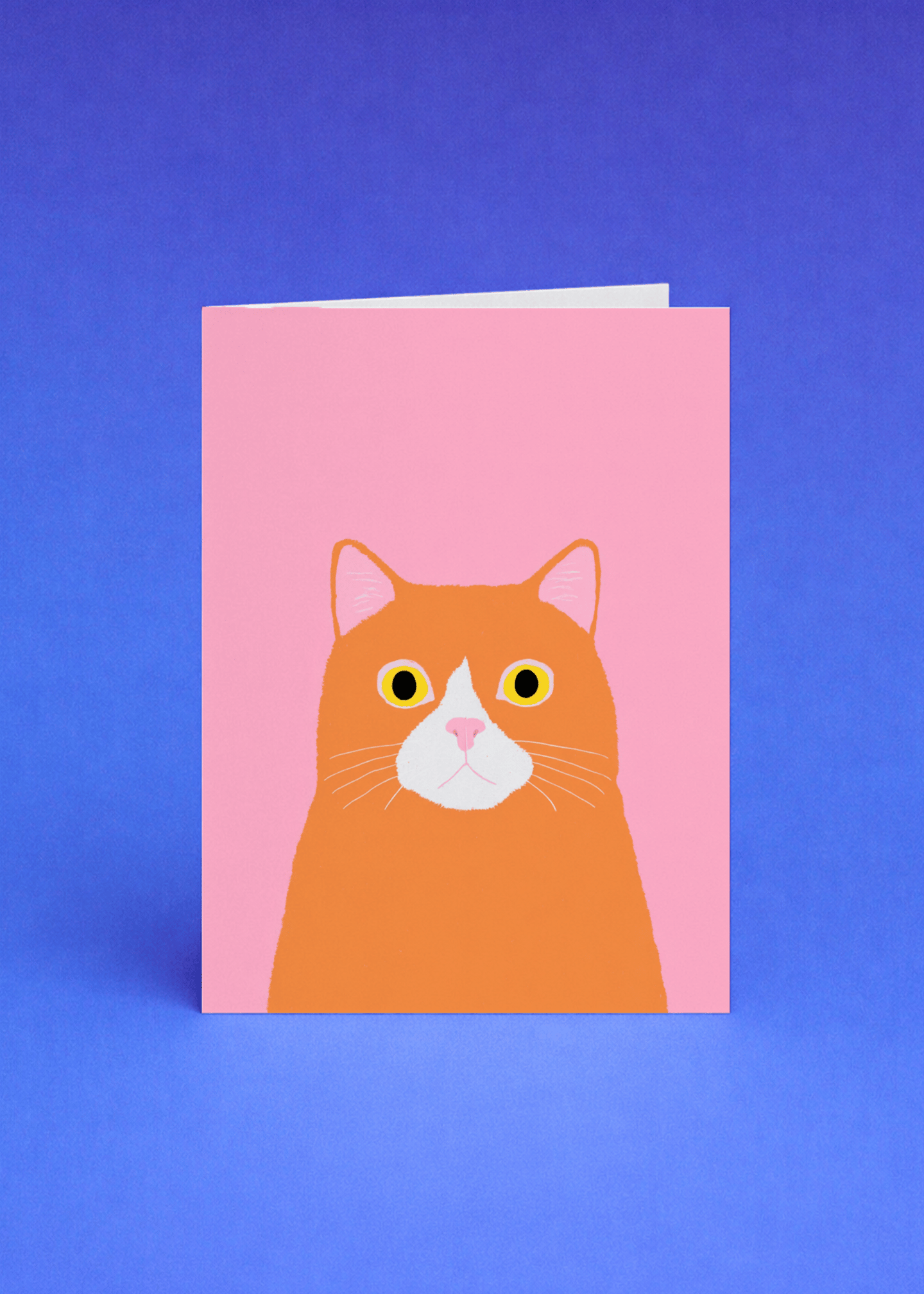 orange cat staring mockup 5