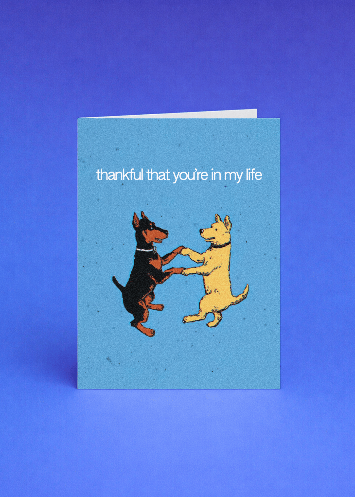 Paws to Heart: Thankful Moments mockup 5