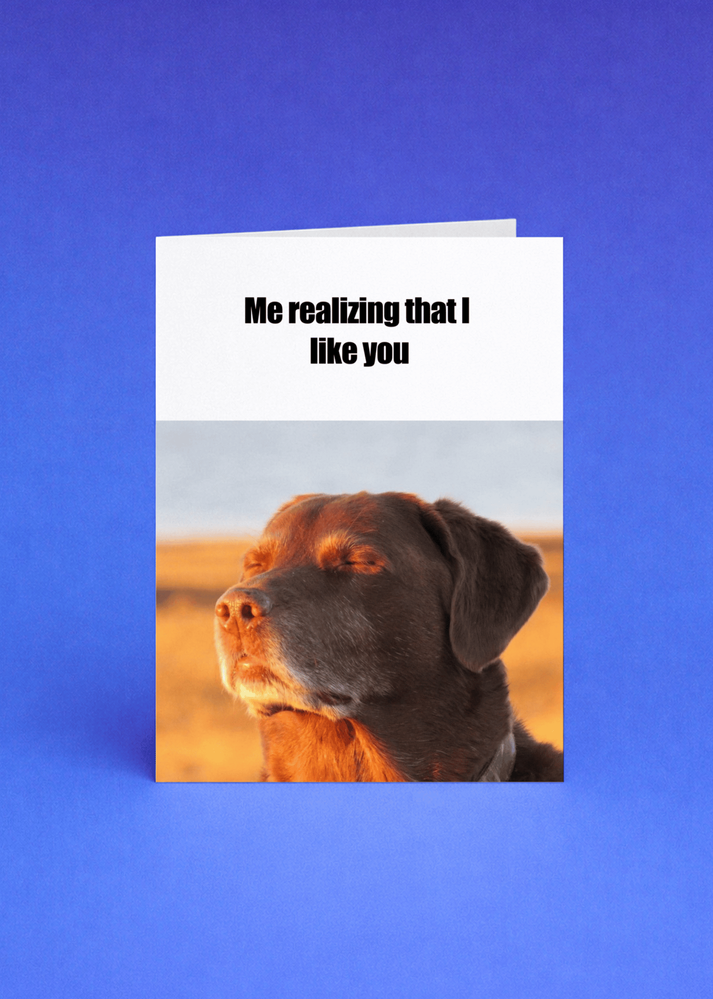 Realizing I Like You Dog Card mockup 5