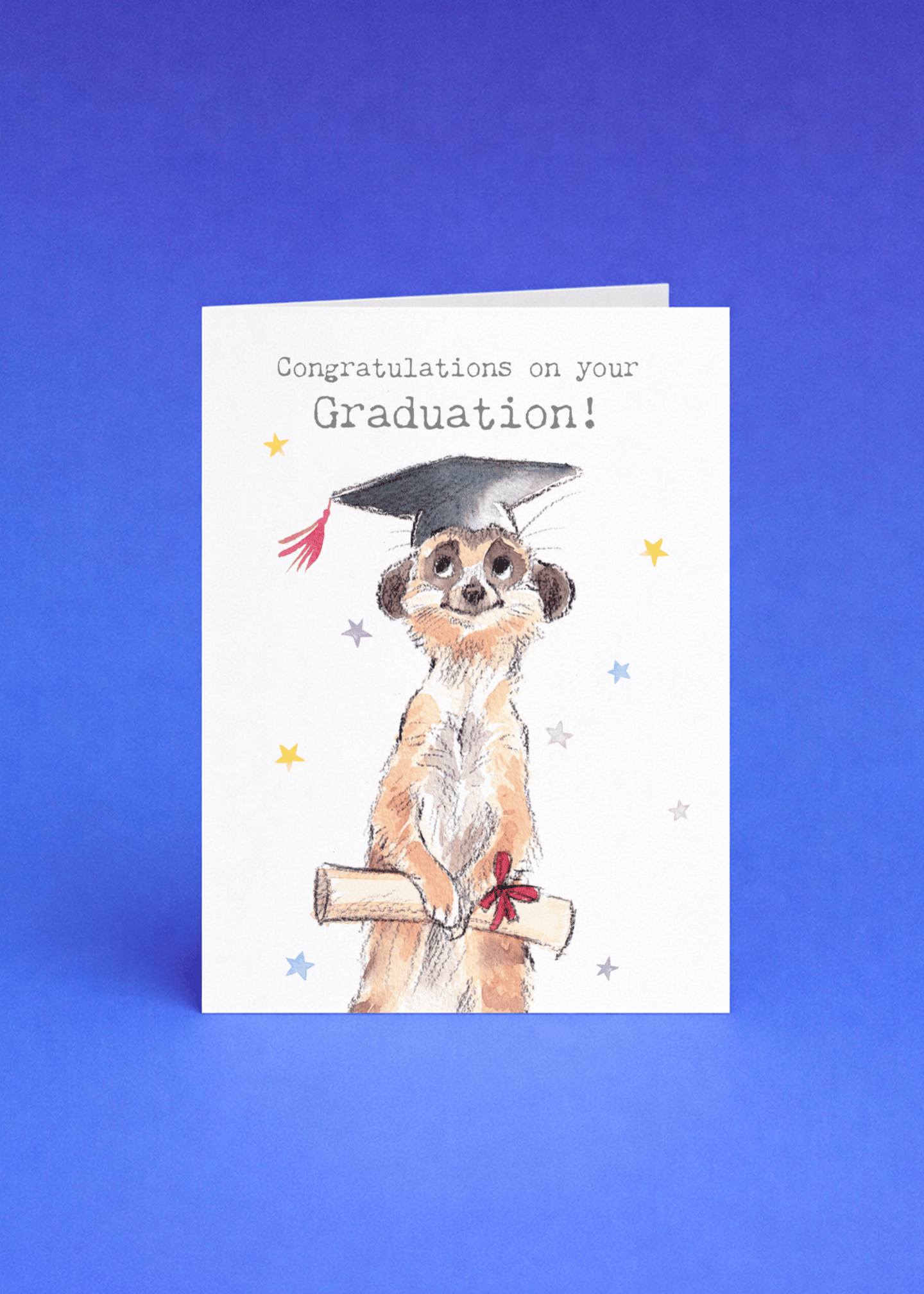 Congratulations Meerkat Graduation Card mockup 5