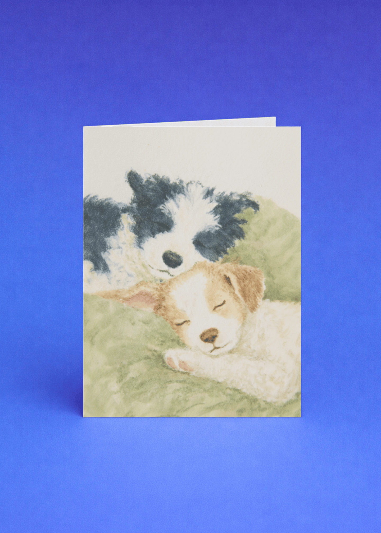 two dogs napping mockup 5