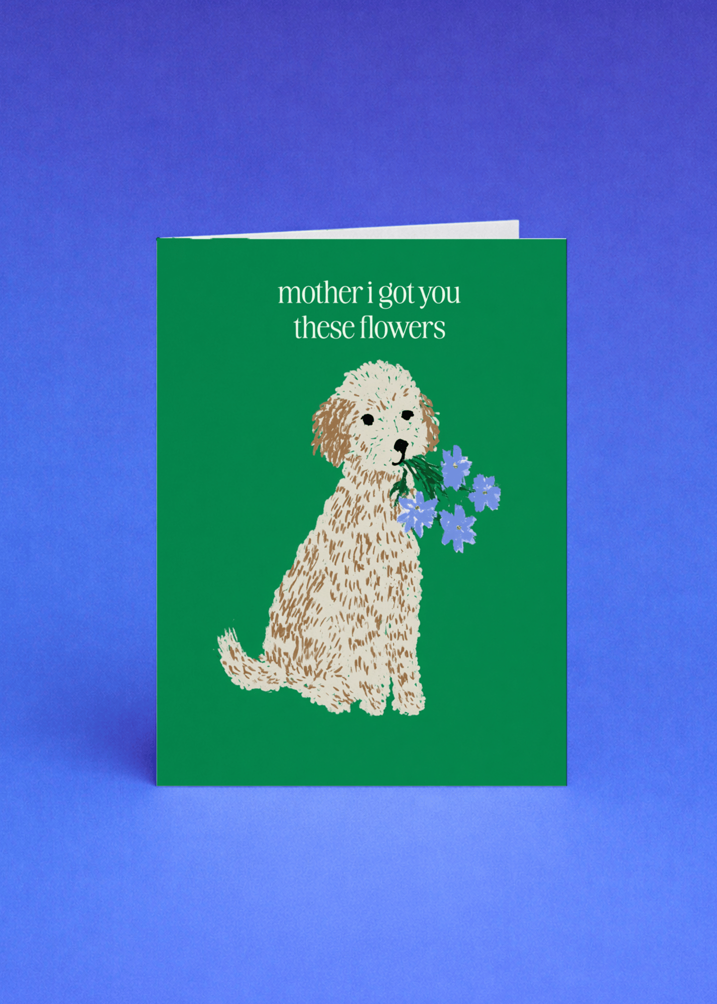mother i got you these flowers mockup 5