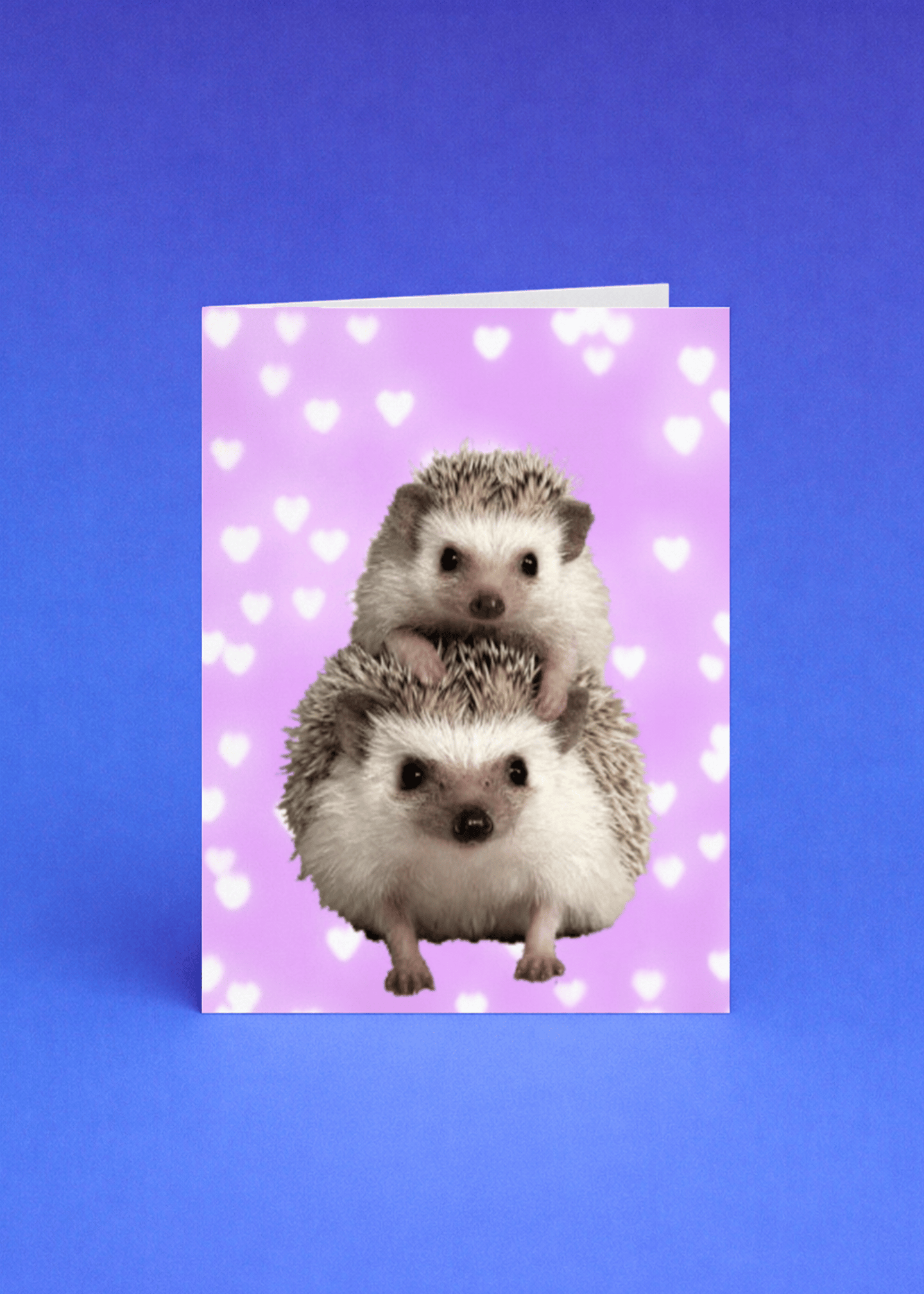hedgehog mom and baby mockup 5