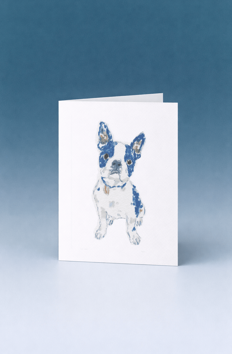 boston terrier sitting mockup 5