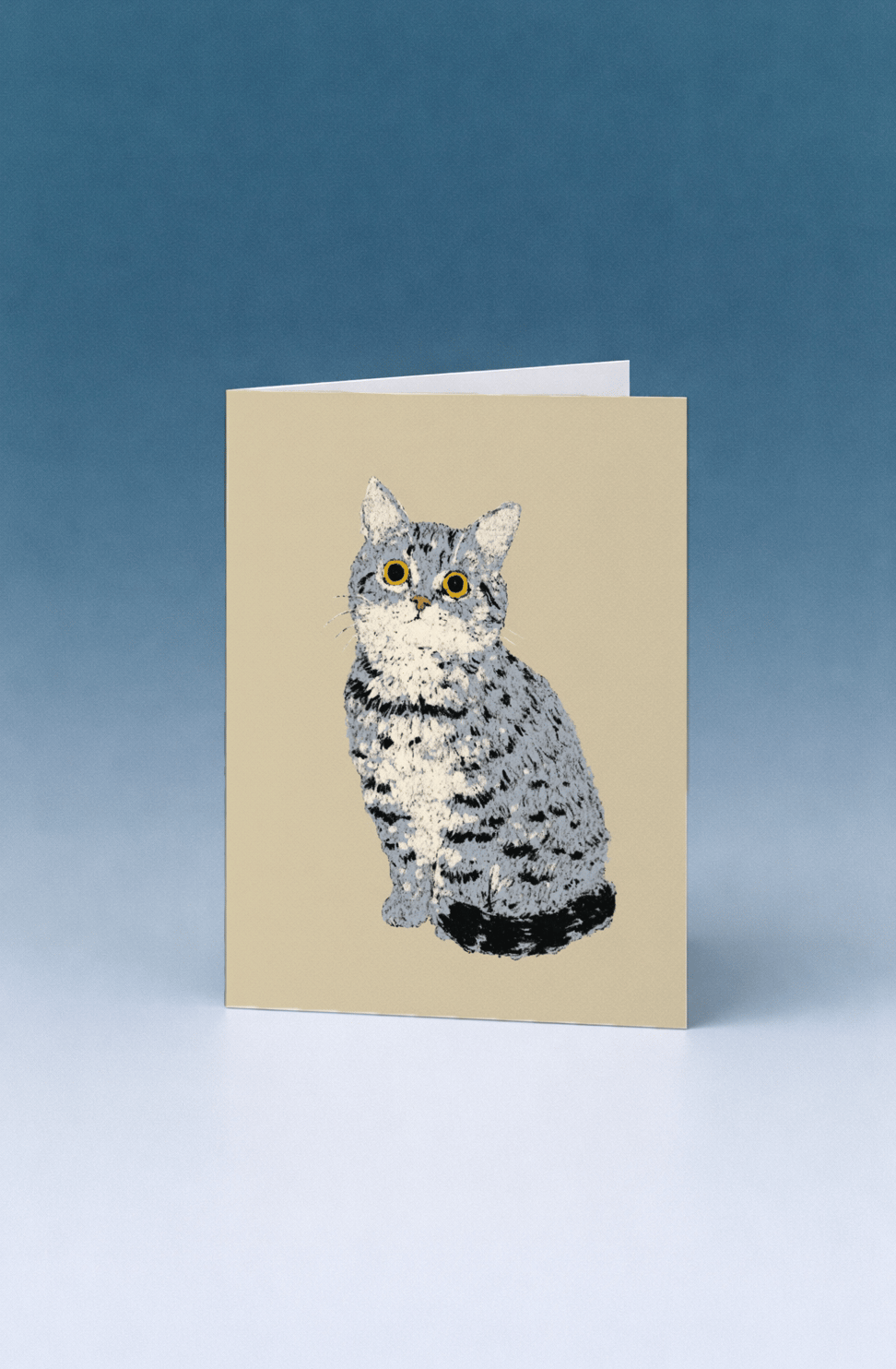 grey tabby cat sitting mockup 5