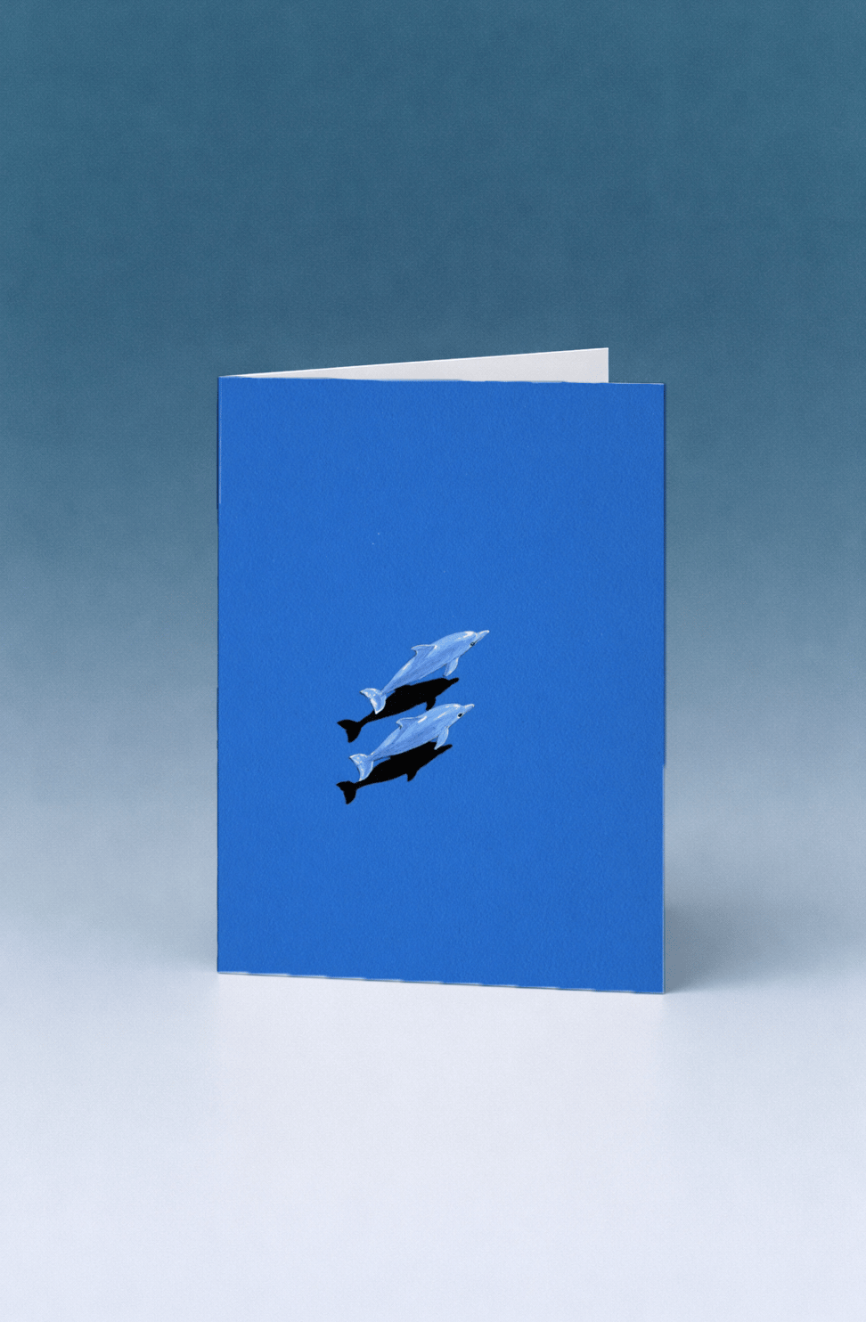 Ocean Blue Dolphin Duo mockup 5
