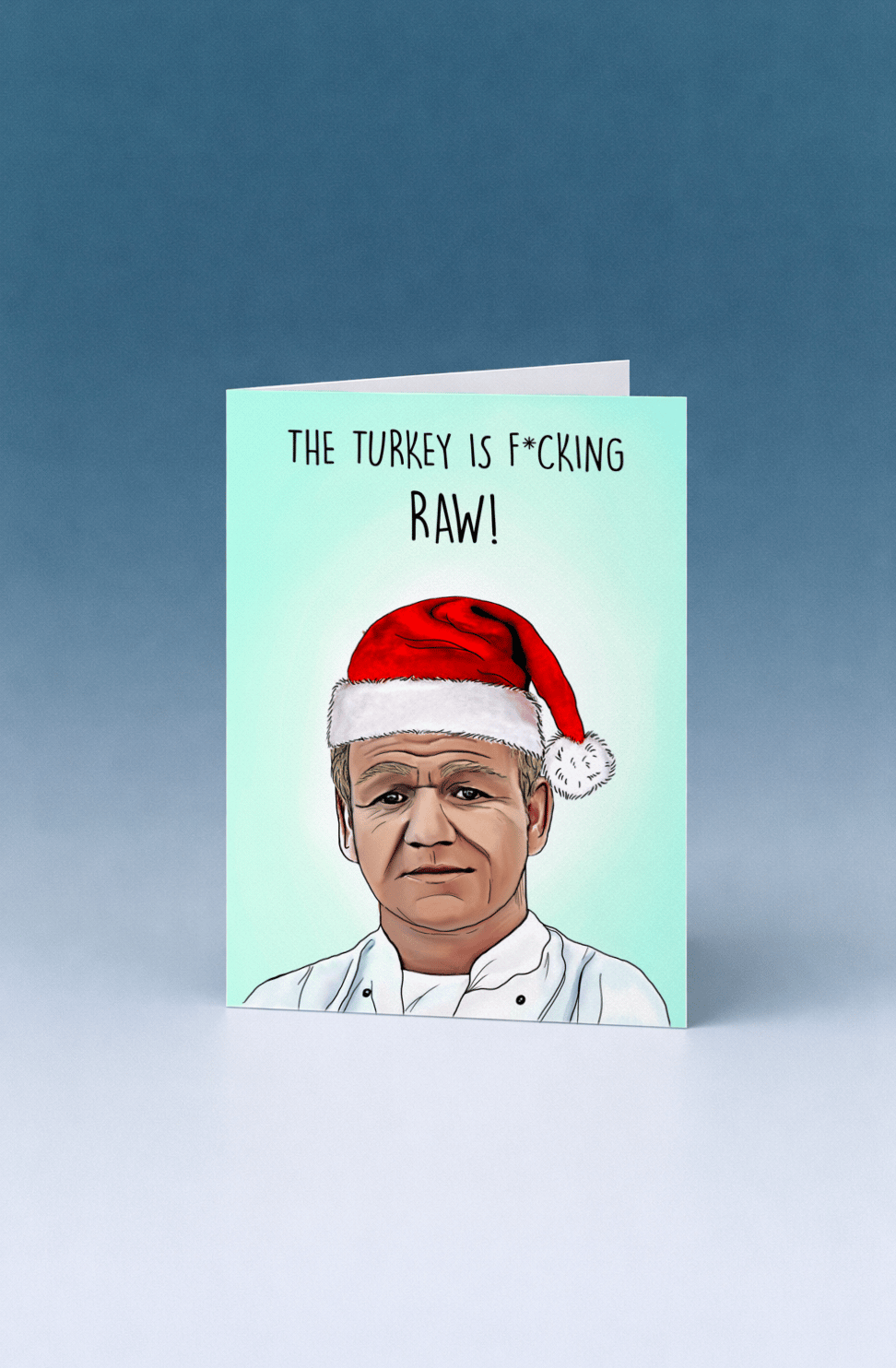 The Turkey Is Raw mockup 5