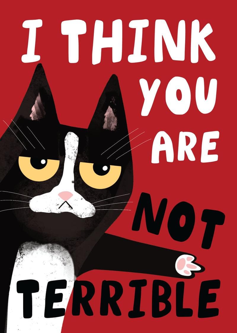 I Think You Are Not Terrible