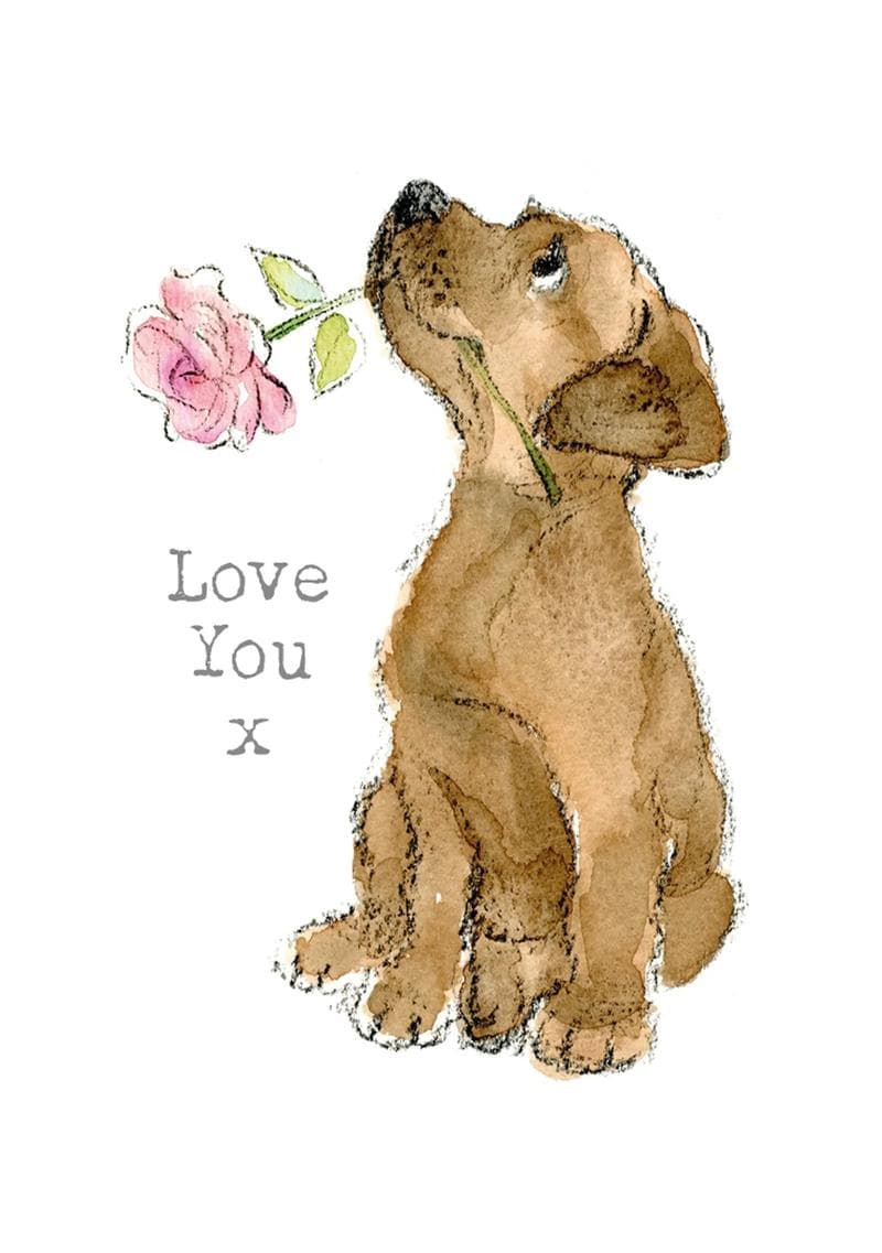 Love You X