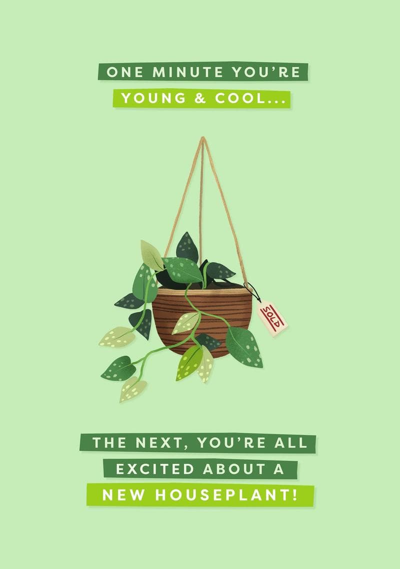 One Minute You're Young and Cool