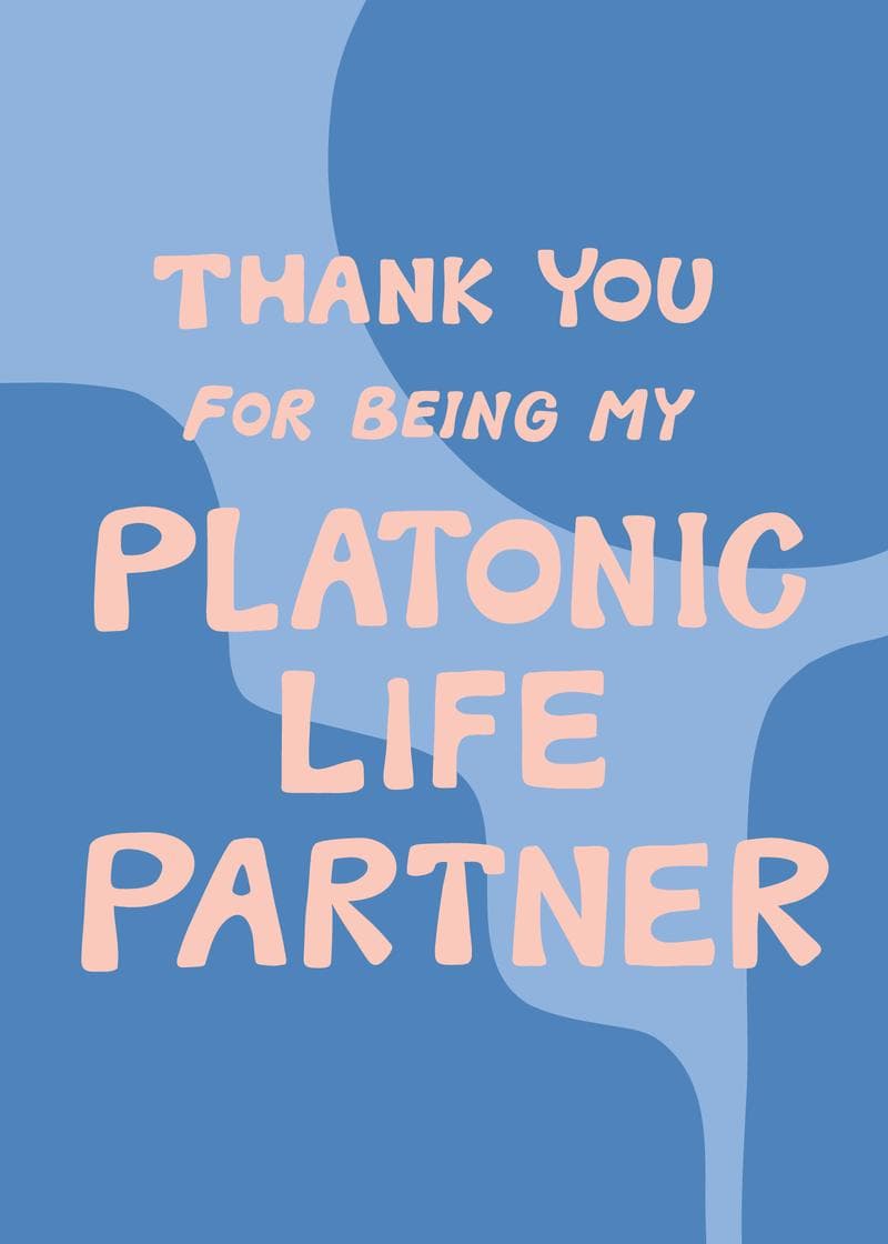 Platonic Life Partner