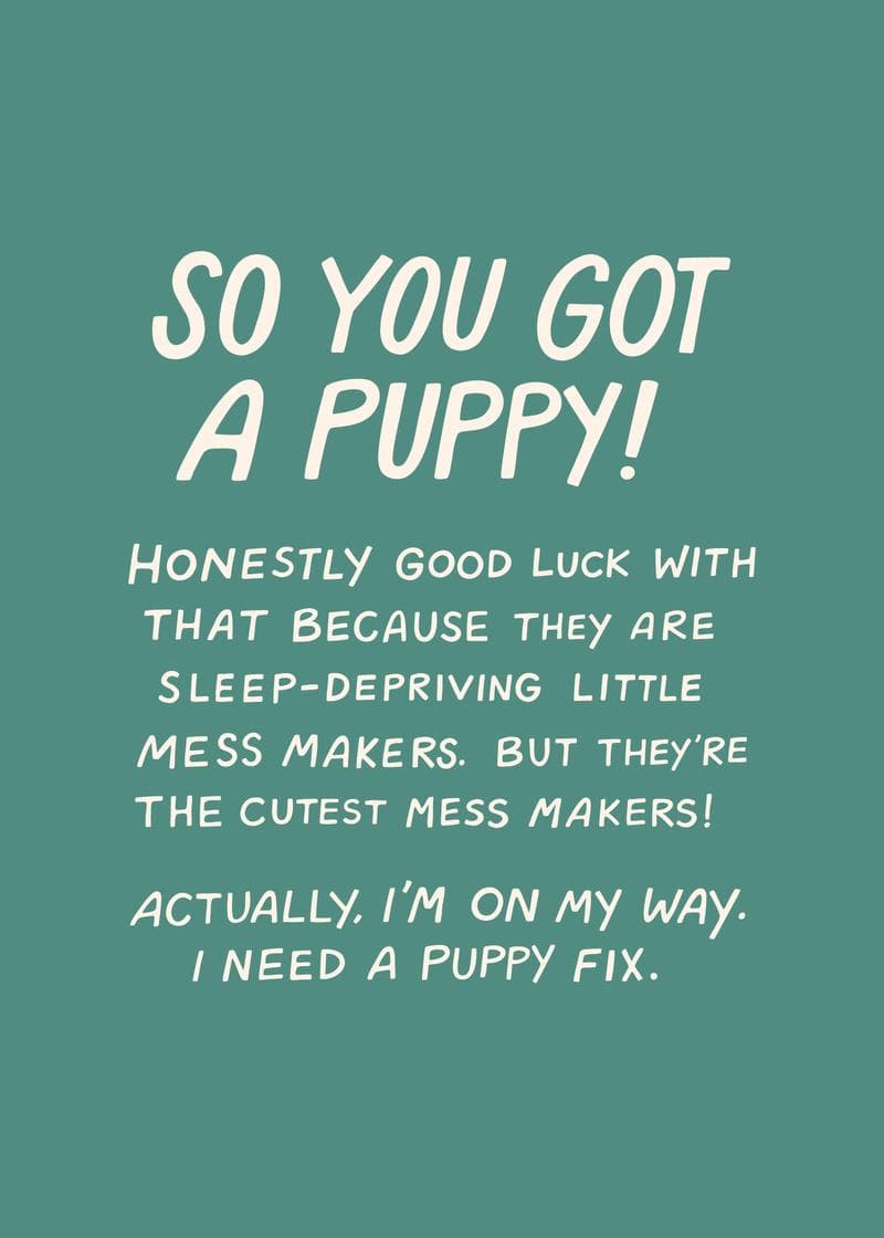Congrats on the New Puppy