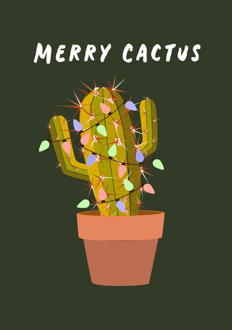Merry Cactus