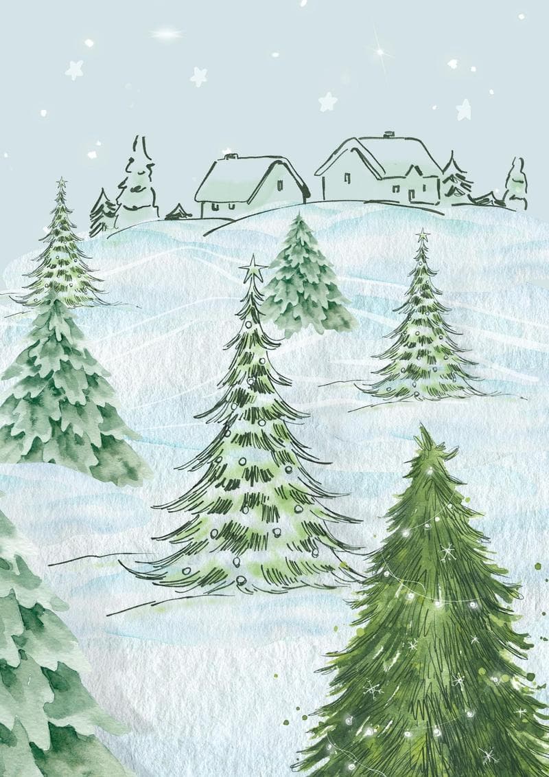 Winter Pine Trees