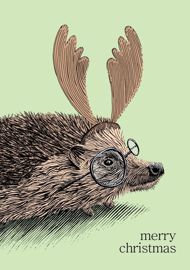 Holiday Hedgehog Christmas