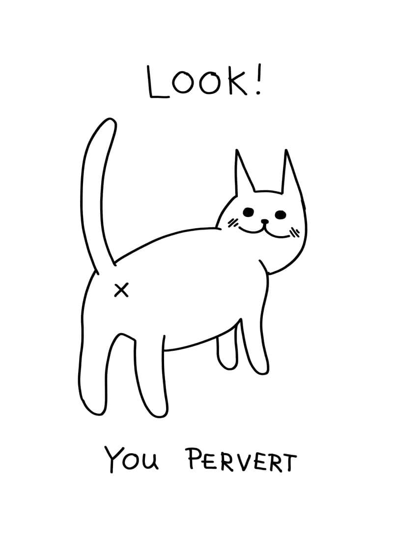 Look You Pervert Cat card