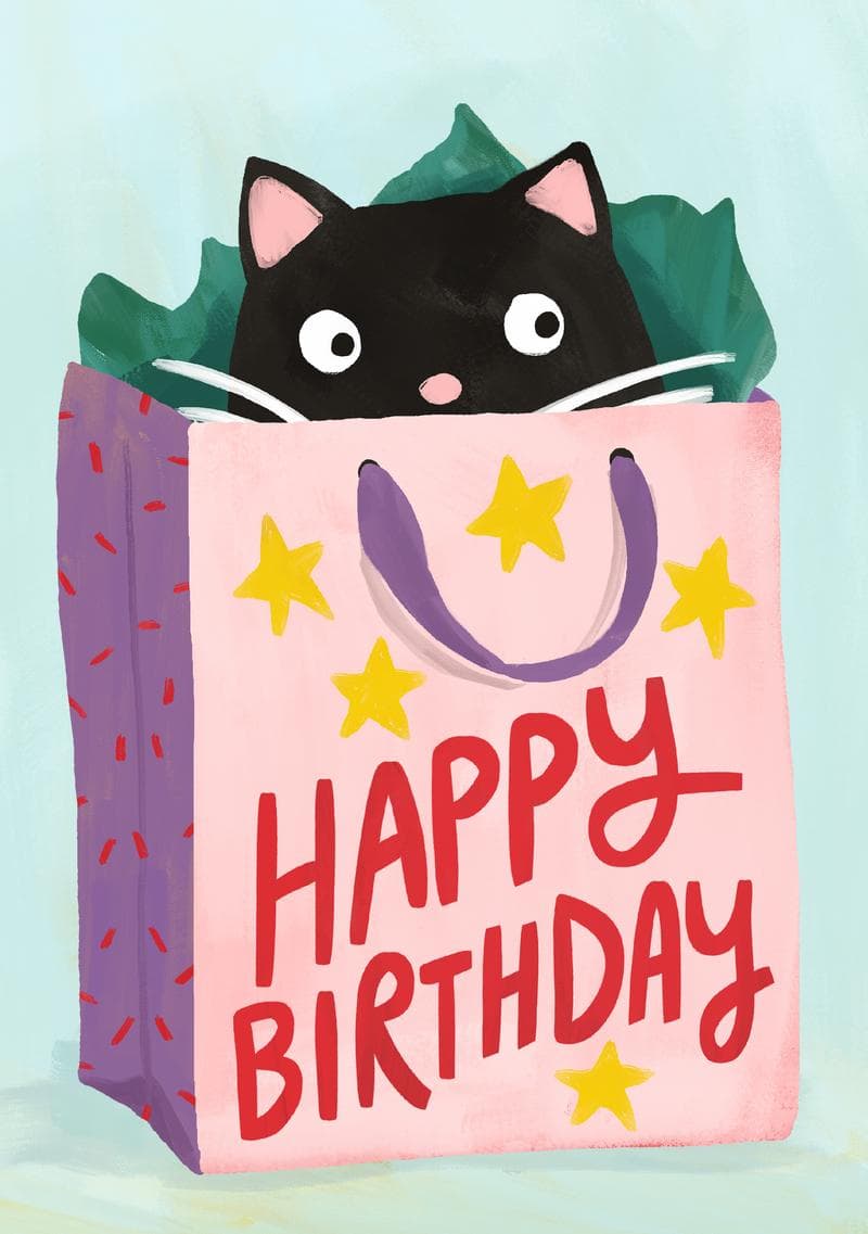 Cat in a Gift Bag Birthday Card card