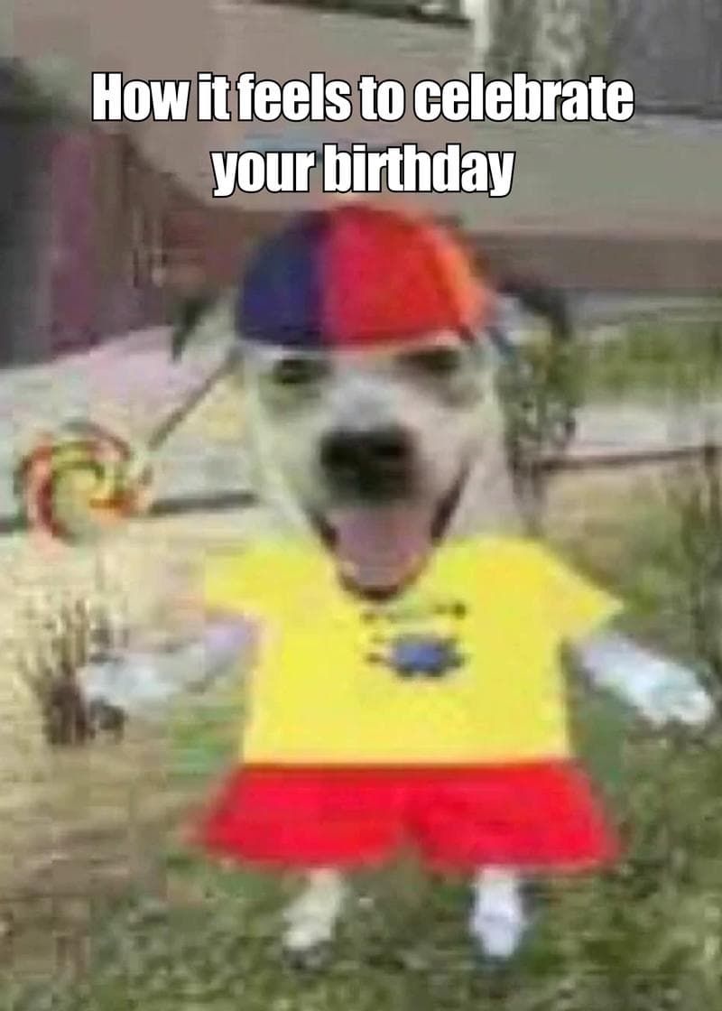 How It Feels to Celebrate Birthday Card card