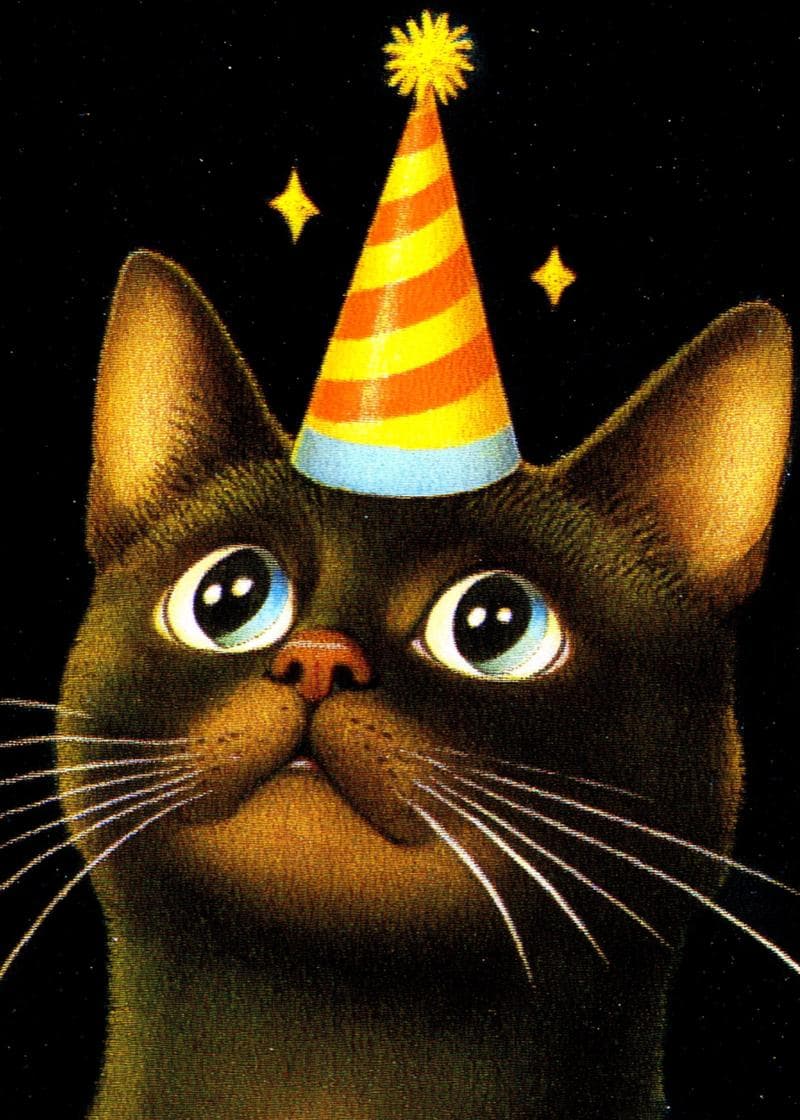 Party Hat Cat Birthday Card card
