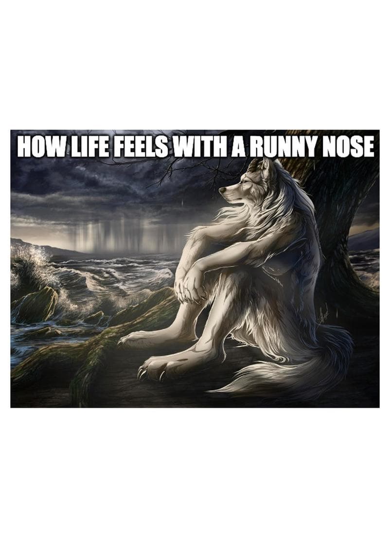 Life With a Runny Nose Card card