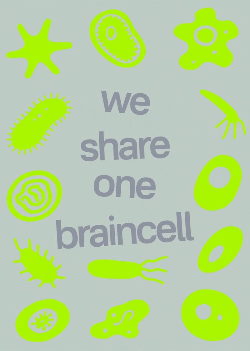We Share One Braincell Card card