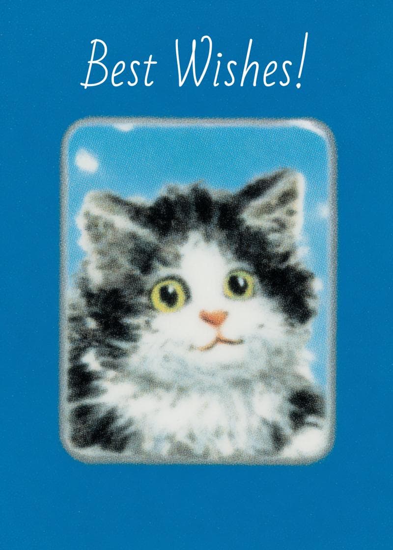 Best Wishes Cat Card card