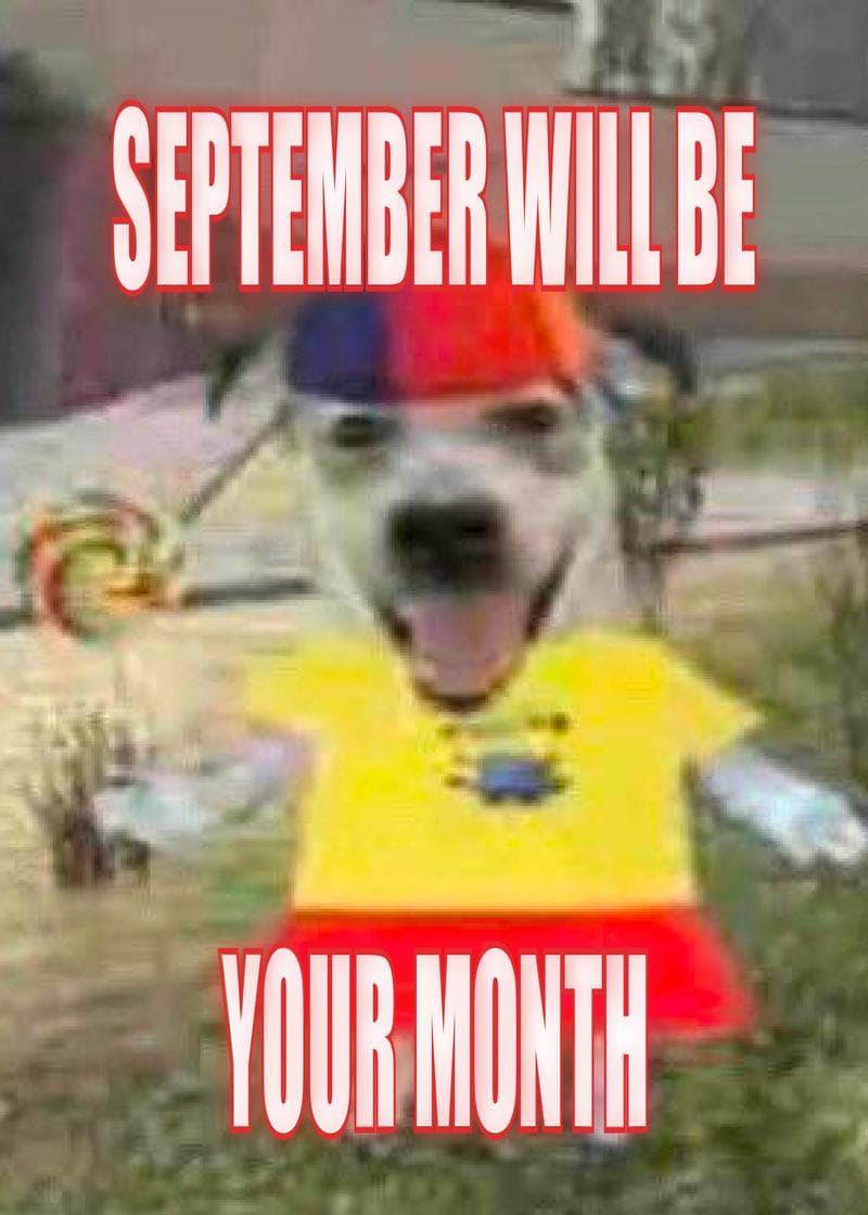 September Motivation Dog Card card