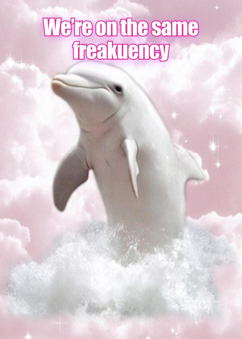 Same Freakuency Dolphin Card card
