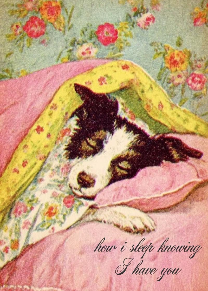 how i sleep knowing i have you card