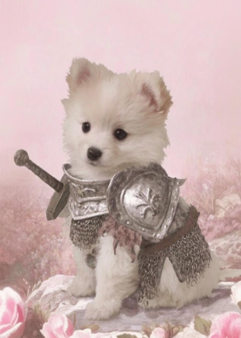Brave Pup in Armor Card card