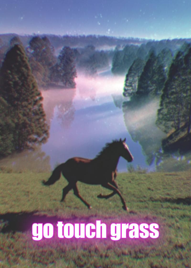 go touch grass card